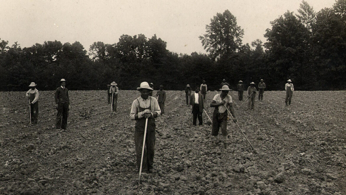 Crownsville patients work in the hospital's fields in the 1910s.
Maryland State Archives/Hatchette