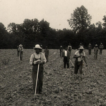 Crownsville patients work in the hospital's fields in the 1910s. Maryland State Archives/Hatchette