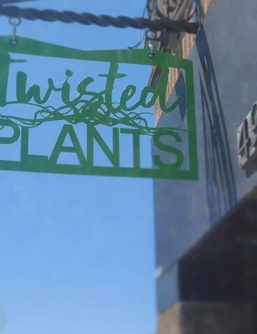 Milwaukee's Twisted Plants wins grant from feed the soul foundation